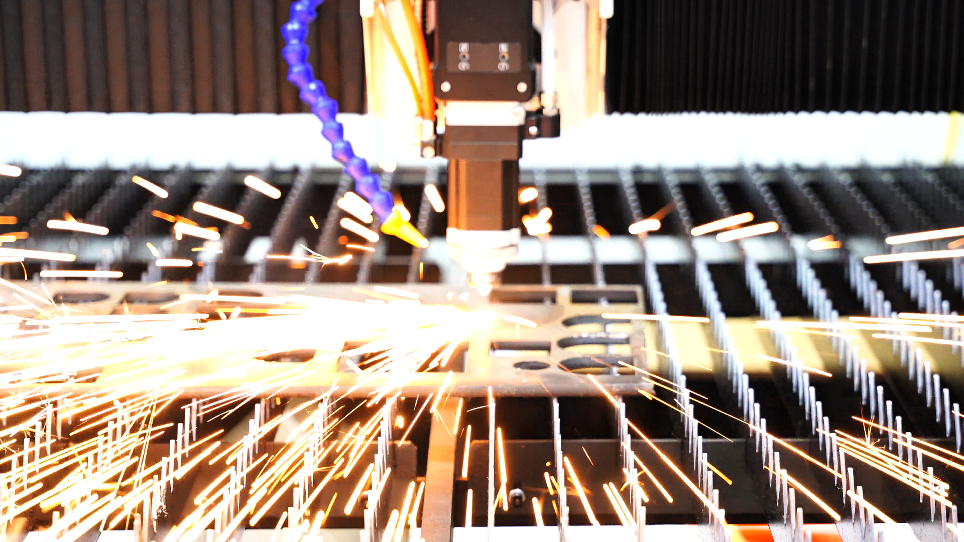 DSC07455.png